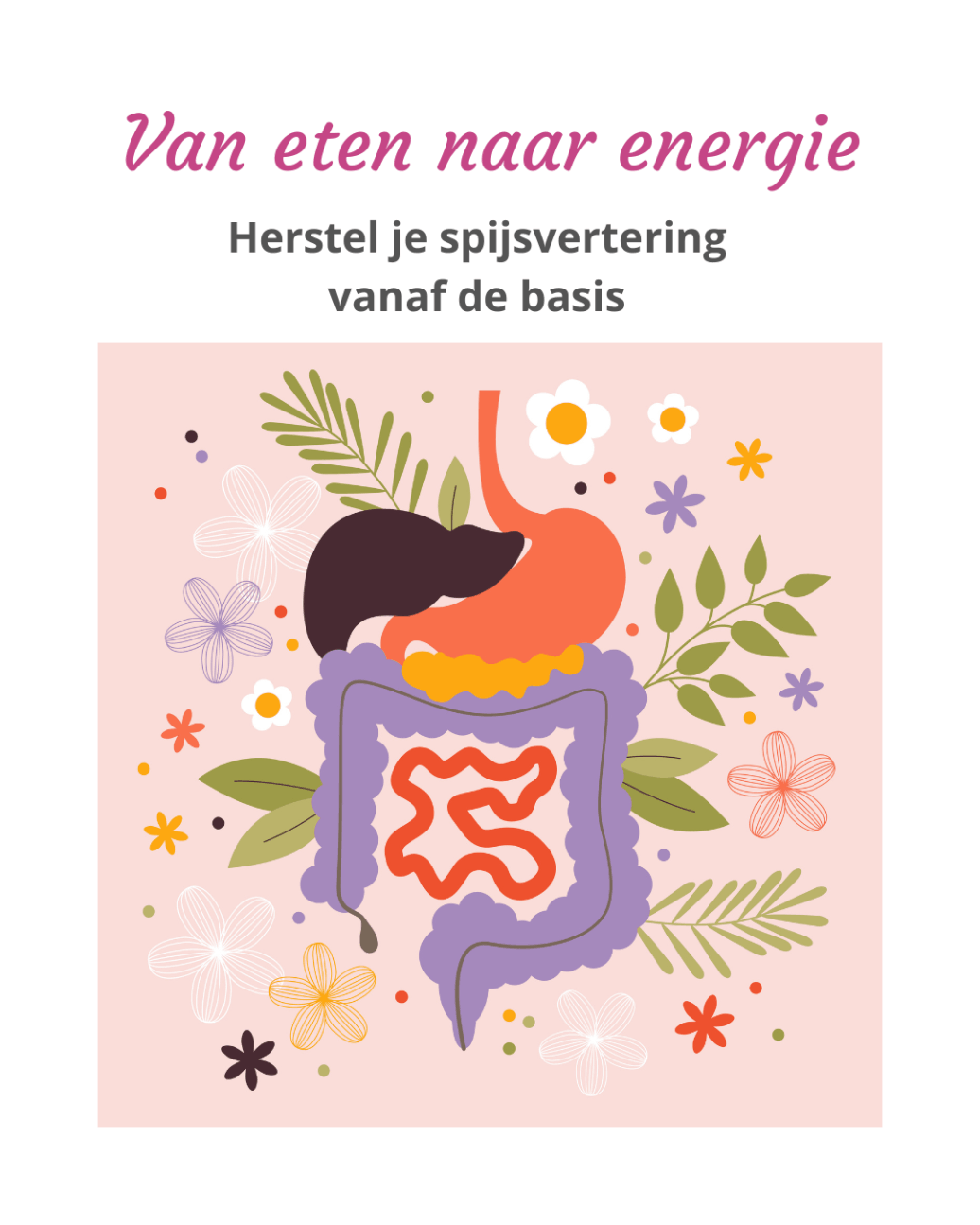 Van Eten Naar Energie