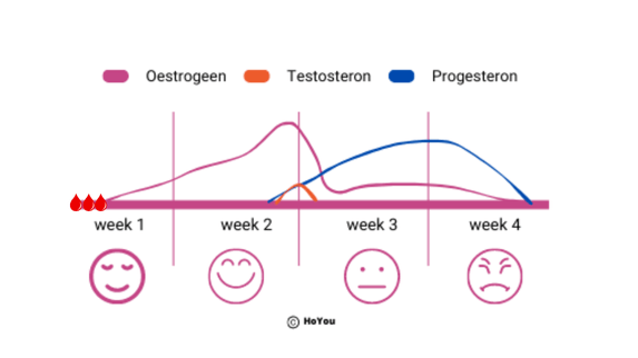 Hormonen
