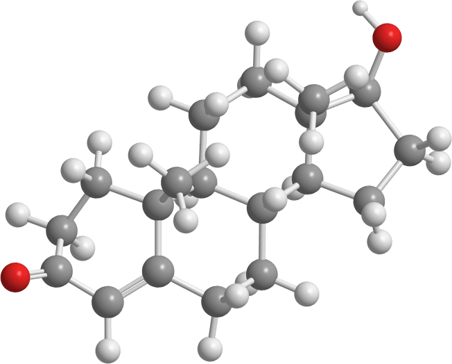 Blog: epigenetica